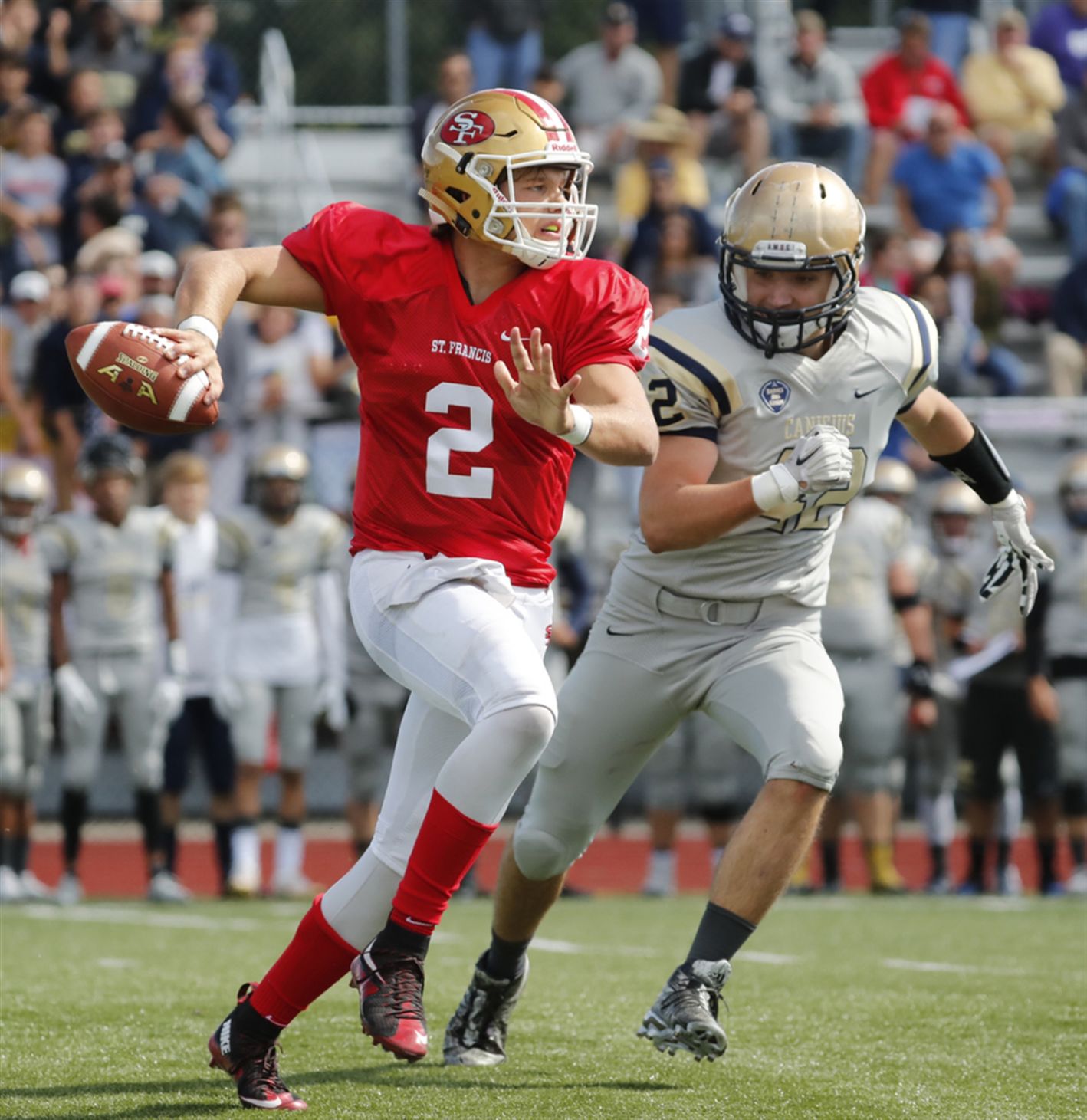 Canisius 55, St. Francis 13